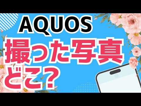【AQUOS】写真の撮り方を超簡単に解説！撮った写真はどこに保存される？【初心者向け】