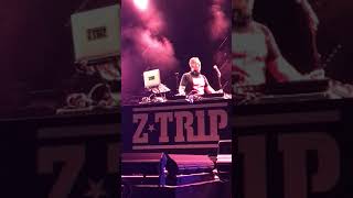 Walking Dead DJ Z-Trip