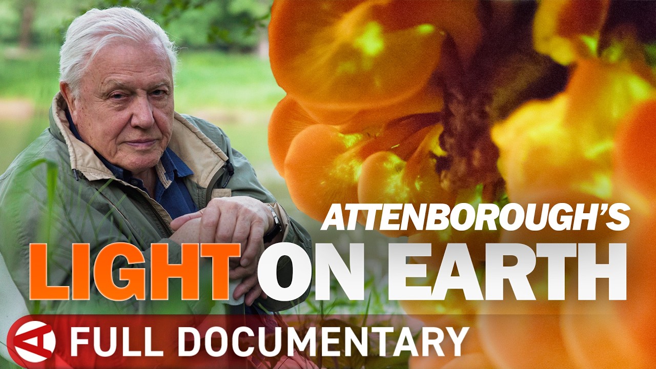100th Birthday of David Attenborough Special | Light on Earth