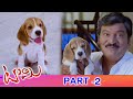 Tommy Telugu Full Movie Part 2 | Latest Telugu Movies | Rajendra Prasad | Sita