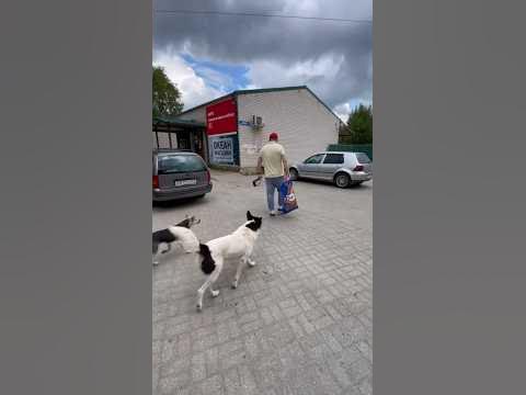 Не проходите мимо🤝 - YouTube