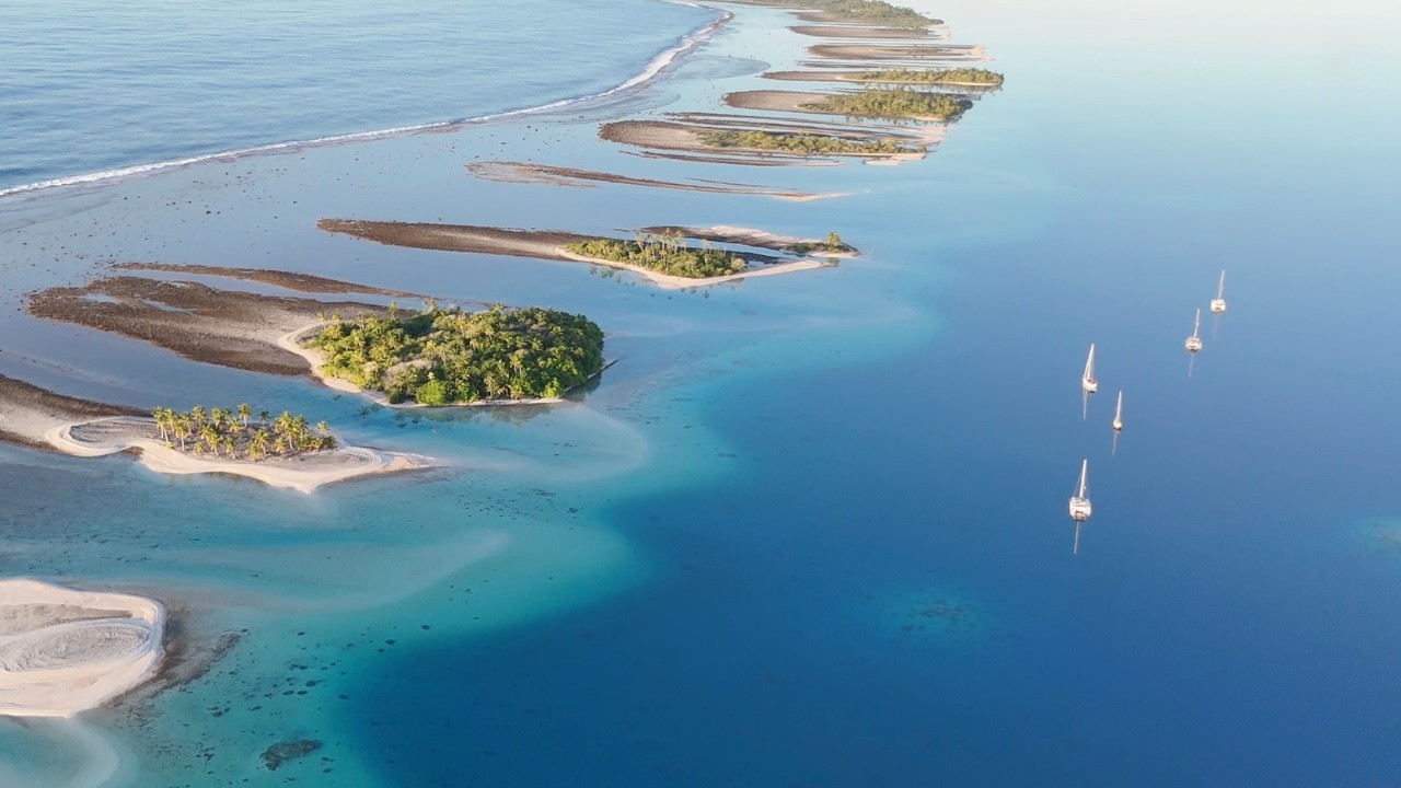 This Is Why We Crossed The Pacific