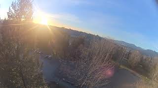 Tiny Leader HD Treetop skimming.