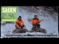 | Sauen im Schnee | Drückjagd auf Schwarzwild | Schwarzwaldhunters | Drückjagd im Heimischen Revier