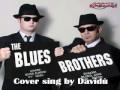 Blues Brothers - Sweet Home Chicago canta Davidu' Karaoke me singing cover