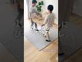一人暮らしにぴったりな”アレ”