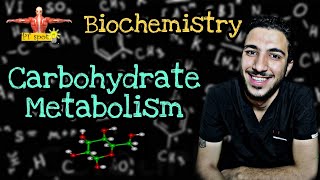 Biochemistry | Carbohydrate metabolism (part 1: glycolysis)