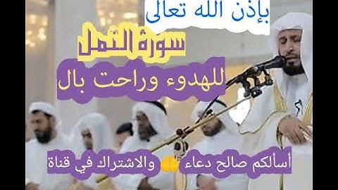 سورة النمل للهدوء وراحت بال بصوت الشيخ سعد الغامدي
