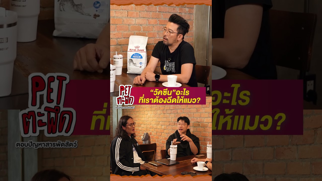 วัคซีนหลัก/ทางเลือก "สำหรับแมว"มีอะไรกันบ้าง??!