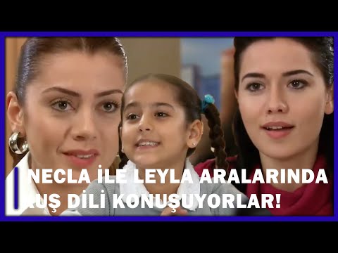 Necla İle Leyla Aralarında Kuş Dili Konuşuyorlar! - Yaprak Dökümü 92.Bölüm