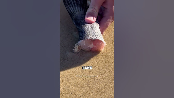 He Thought It Was Just Sea Glass—Until He Looked Closer
