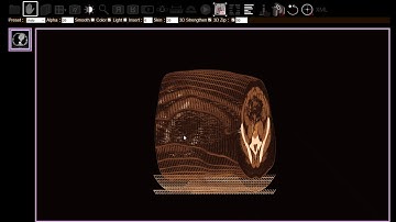 Introduction to BlueLight DICOM Viewer