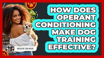How Does Operant Conditioning Make Dog Training Effective? - Obedient Dog Guide