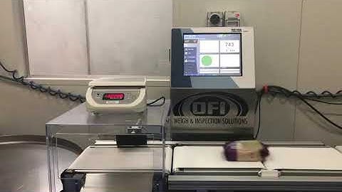 OFI C80 Checkweigher