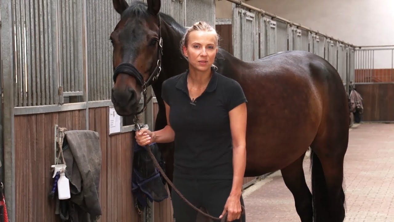 Lexa Micro-Kräuter-Mineral 9 Kg Eimer – Rundum-Versorgung Für Dein Pferd