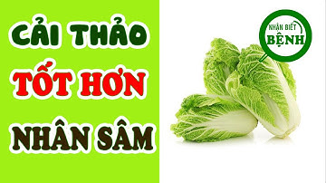 CẢI THẢO loại rau tốt hơn NHÂN SÂM