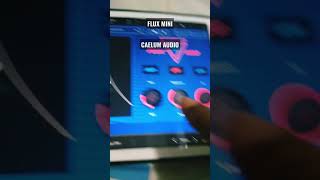 CAELUM AUDIO - FLUX MINI