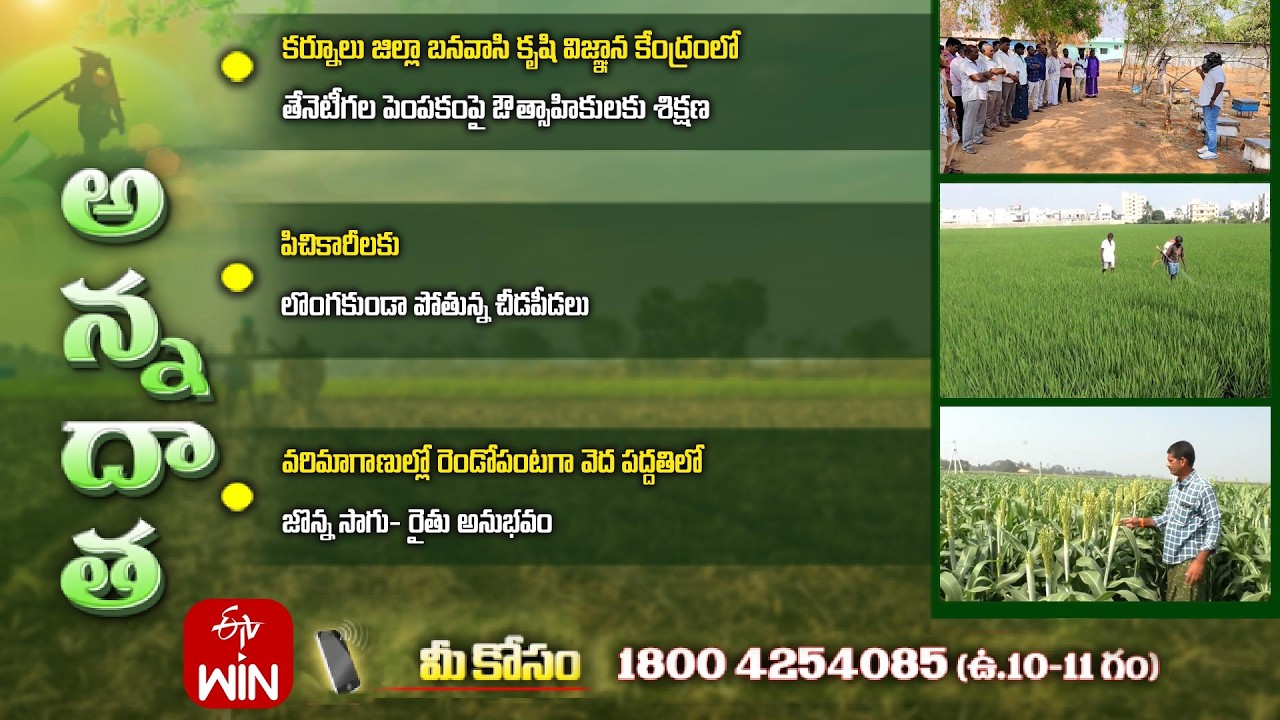 27th February 2026 | Annadata | అన్నదాత | Full Episode | ETV Telugu