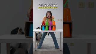 Can My GF Find The RIGHT Matching Cups?!
*SUBSCRIBE* and *LIKE* the video if you want to see more
▬▬▬▬▬▬▬▬▬▬▬▬▬▬▬▬▬▬▬▬▬▬▬▬
CARLEYS CHANNEL ► @BookOfCarley
FOLLOW KEN ►
- https://www.instagram.com/bookofken/
- https://www.tiktok.com/@bookofkens
FOLLOW CARLEY ►
- https://www.instagram.com/bookofcarley/
- https://www.tiktok.com/@bookofcarley
JOIN OUR DISCORD ► http://discord.gg/RAeS7EK
Business Email: bookofken@gmail.com
▬▬▬▬▬▬▬▬▬▬▬▬▬▬▬▬▬▬▬▬▬▬▬▬
#BookOfKen #Shorts #Couple
This video is created and owned by Book Of Ken Can My GF Find The RIGHT Matching Cups?!