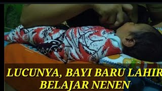 BAYI BARU LAHIR, BELAJAR NENEN.  #ALFAIZIKHURNIA