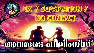 🧿നിങ്ങളുടെ Ex ന്റെ feelings എന്താണ്? Separation/ No Contact💞🔮 #relationshipreadings #currentfeelings