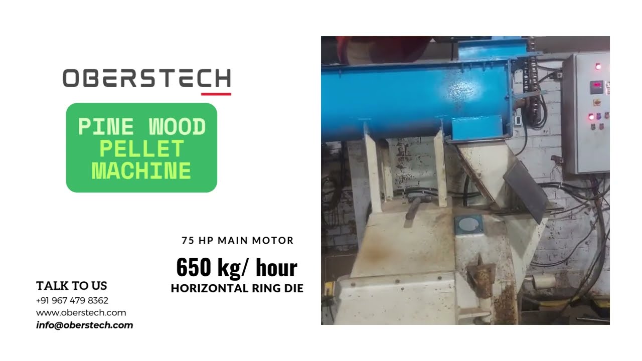 6mm Pine Wood Pellet Production | Ring Die Pellet Machine Demo