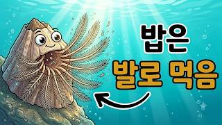 평생 물구나무 서서 발로 밥 먹는 생명체의 충격적인 생존 전략 (따개비의 일생)
