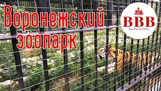 ВОРОНЕЖСКИЙ ЗООПАРК И ПАРК АВИАСТРОИТЕЛЕЙ/ КУДА СХОДИТЬ В ВОРОНЕЖЕ.