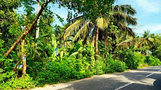Download Lagu NO:276 Beautiful 1Acre 50Cent Farmland for sale 350 ft Road Frontage OMR 17 KM Ct9626716274 MP3 Download Lagu NO:276 Beautiful 1Acre 50Cent Farmland for sale 350 ft Road Frontage OMR 17 KM Ct9626716274 MP3