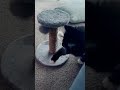 Lady enjoying her new toy