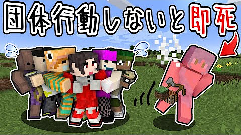 ミナミノツドイ Youtube ミナミノツドイ Youtube