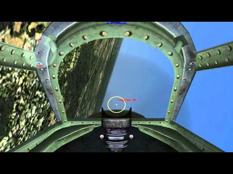 Let's Play Combat Flight Simulator 3!