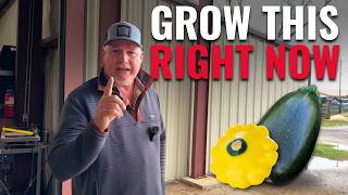 The Easiest Food To Grow In Spring