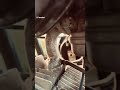#splender #viral