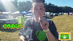 Oregon Hempfest 2017 (Behind The Scenes Footage)