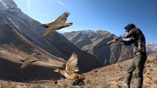 Karli Sarp Zi̇rvelerde Kekli̇k Avi. Gökten Kekli̇k Yağdi. Chukar Hunti̇ng. Partri̇dge Hunti̇ng.