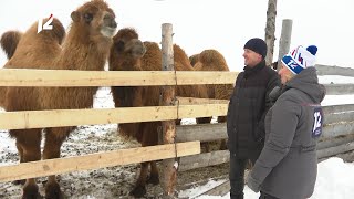 «Местные жители» с Оксаной Савочкиной. Большие Уки (08.02.22)