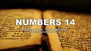 NUMBERS 14 - Alkitab Bahasa Inggris