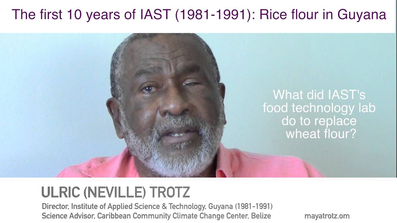 Download IAST (1981-1991) & Rice Flour in Guyana