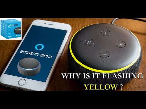 Video: Kan Alexa ligte verdof?