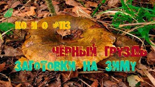 ГРИБНАЯ ИКРА ИЗ ЧЕРНУШЕК РЕЦЕПТ ПРИГОТОВЛЕНИЯ RECIPE MUSHROOM CAVIAR ГРИБНАЯ ИКРА ИЗ ЧЕРНУШЕК РЕЦЕПТ ПРИГОТОВЛЕНИЯ RECIPE MUSHROOM CAVIAR