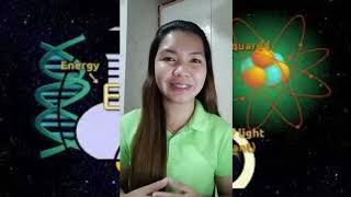 Learning Activity 3: Projectile