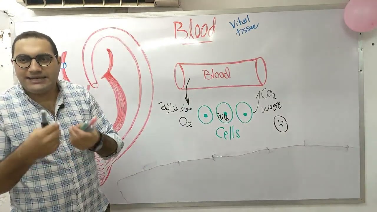 Blood physiology المحاضرة المجانية الثانية - القصر العيني 196