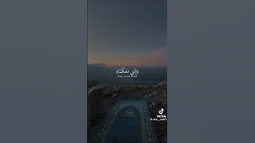 #شريف_مصطفى #راحة_نفسية ♥️🌹 سورة طه القارئ وديع رائد حجير
