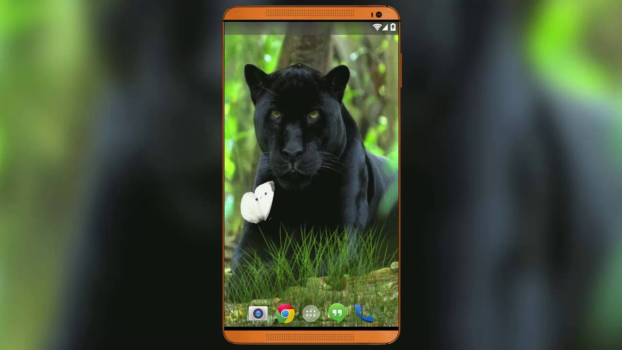 Black Panther Live Wallpaper YouTube