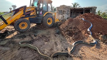 JCB 3dx Backhoe Loader Machine Loading Mud In Mahindra 475 Di Tractor and Stuck in Mud Jcb Video