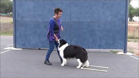 Introduction to Teaching Signals Part 3