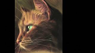 Drawing a realistic cat with Ipad - Soft Pastel Procreate speed  painting screenshot 2