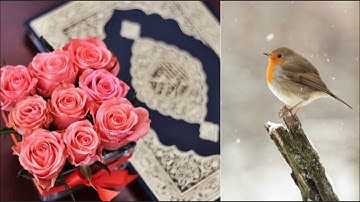 عبدالرحمن السديس | سورة الطور + سورة النجم + سورة القمر | ❤