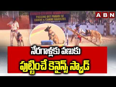 నేరగాళ్లకు వణుకు పుట్టించే కెనైన్స్ స్క్వాడ్ | 25th Batch Sniffer Dogs Squad Passing Out Parade - ABNTELUGUTV